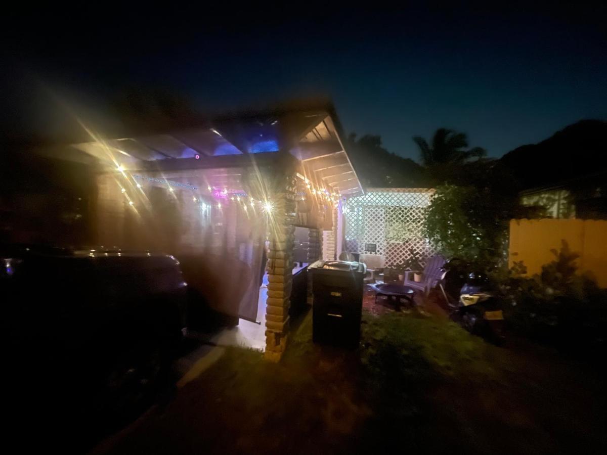 Miami Vibes 