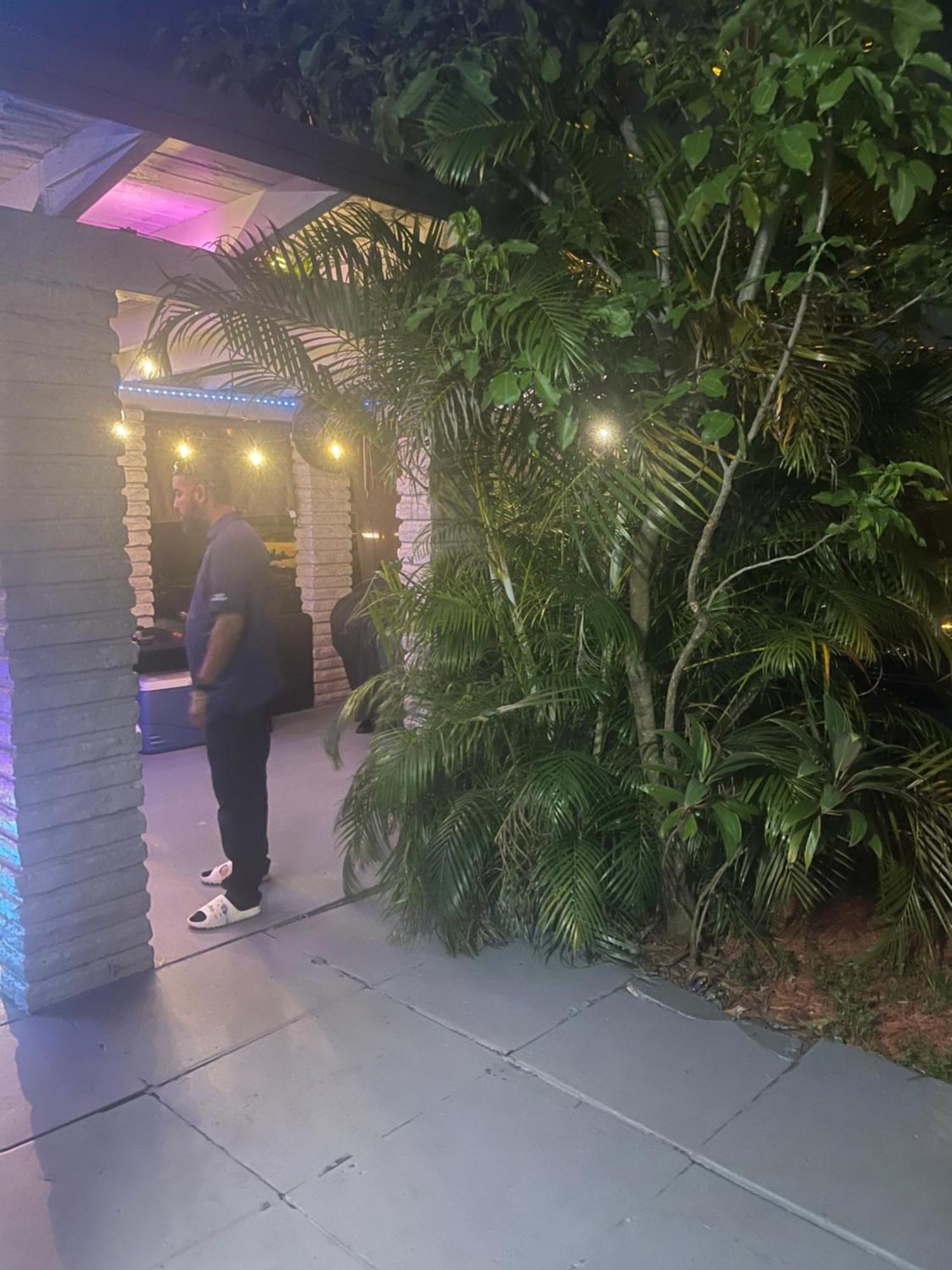 Miami Vibes 