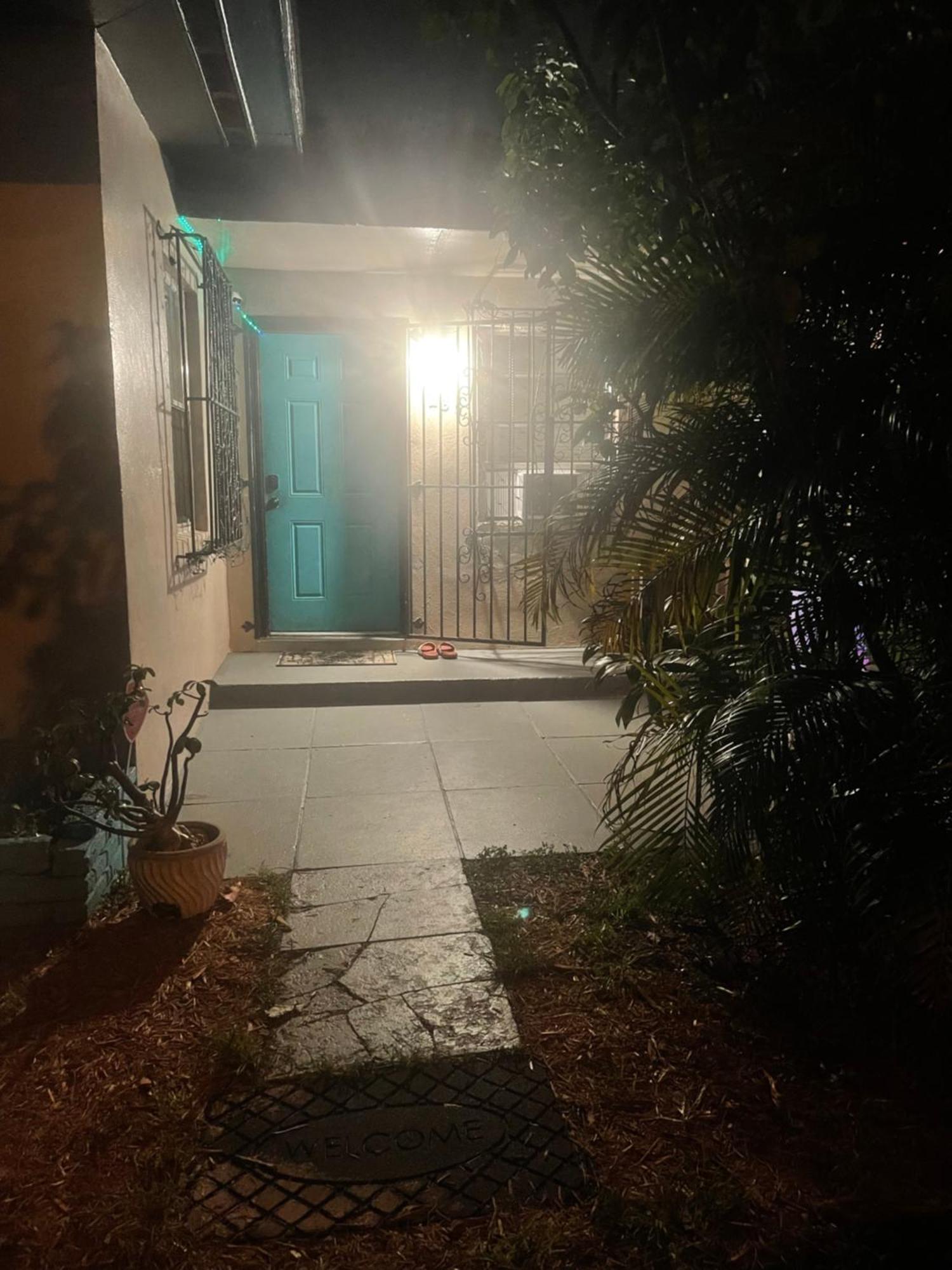 Miami Vibes 
